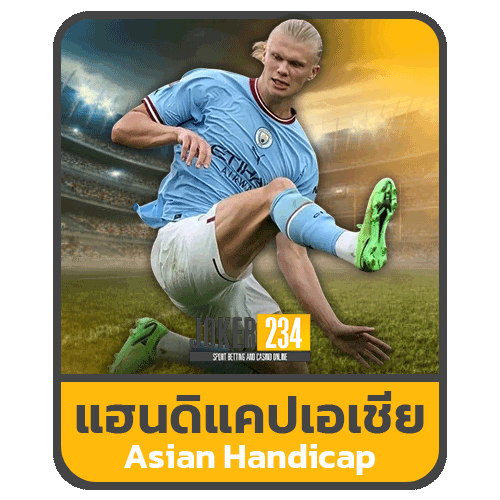 แฮนดิแคปเอเชีย