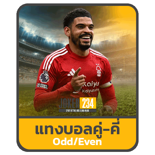 แทงบอลคู่-คี่