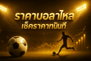 ราคาบอลไหล เช็คราคาทันที